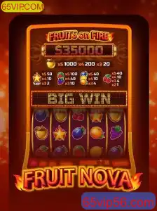 Descubra o Cativante Jogo FruitNova no 65VIP.COM